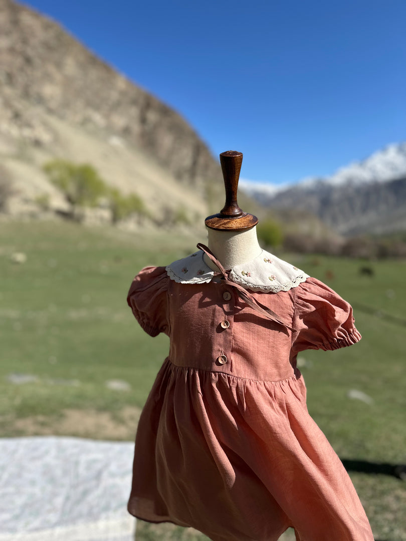 The Vintage Pink Frock