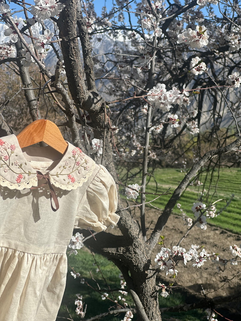 The Blossom Tree